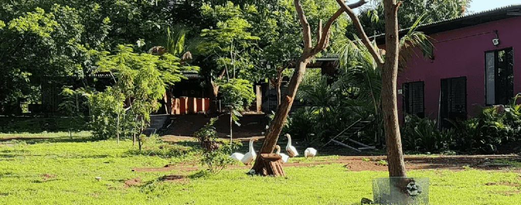 Monsoon Villa Getaway Near Mumbai