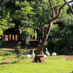 Monsoon Villa Getaway Near Mumbai