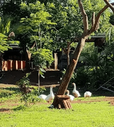 Monsoon Villa Getaway Near Mumbai