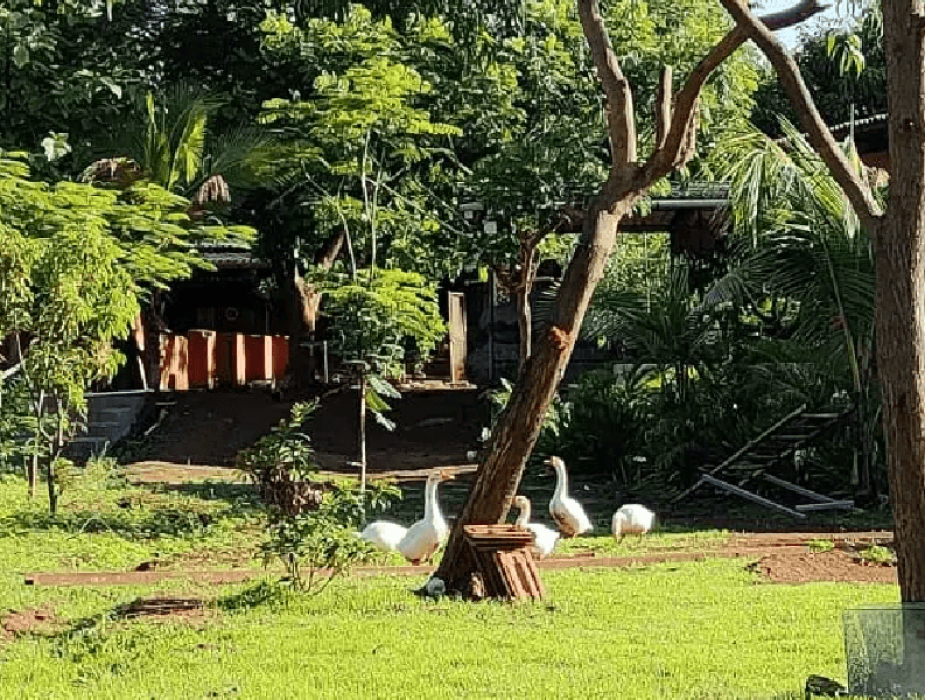 Monsoon Villa Getaway Near Mumbai